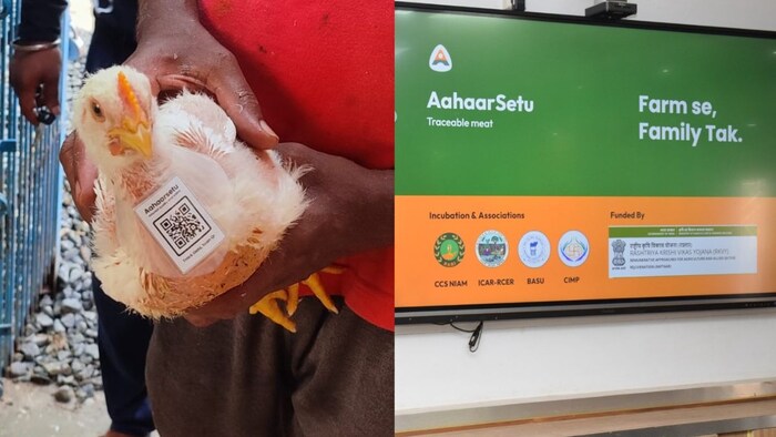 Aharsetu App For Poultry