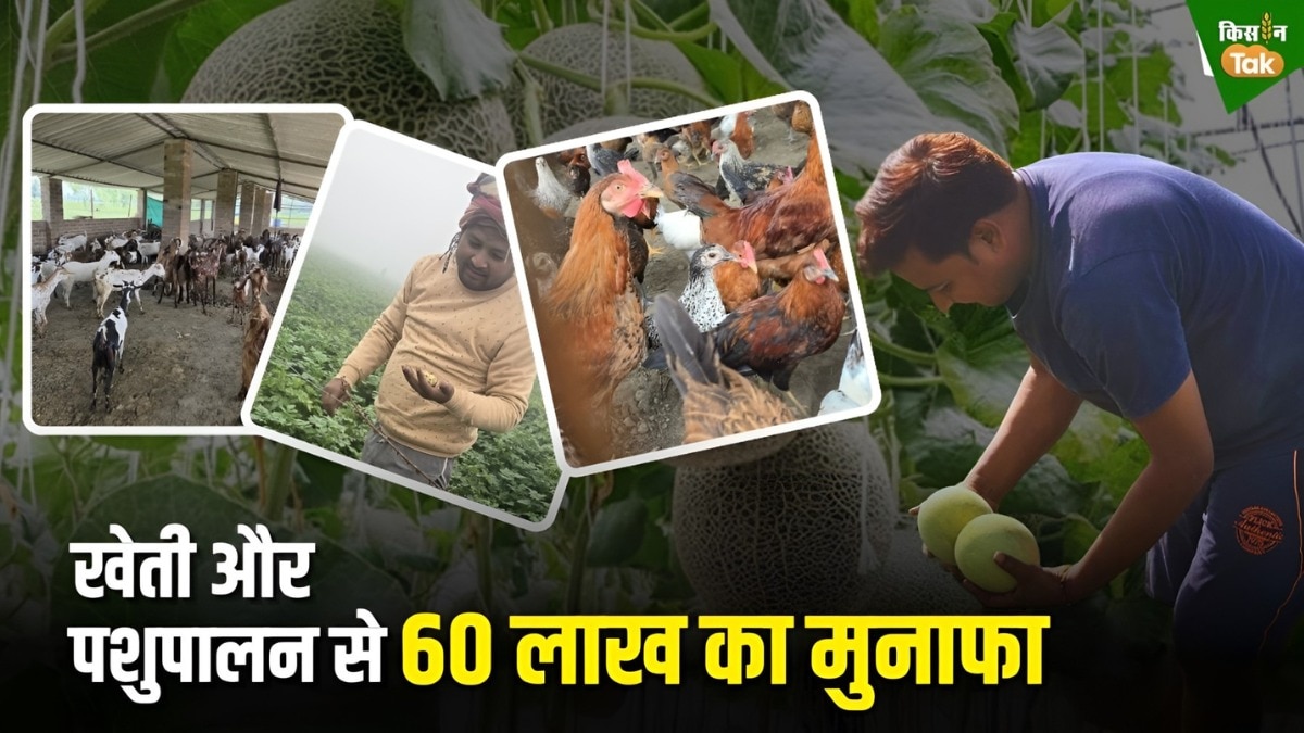 बारांबकी जिले के प्रगतिशील किसान विपिन वर्मा (Photo-Kisan Tak)