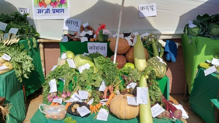 मेगा-सब्जी एक्सपो (सांकेतिक तस्वीर)