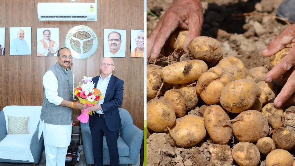 लखनऊ पहुंचे अंतरराष्ट्रीय आलू केंद्र पेरू के DG डॉ साइमन हैक, जानिए- किन मुद्दों पर हुआ मंथन लखनऊ पहुंचे अंतरराष्ट्रीय आलू केंद्र पेरू के DG डॉ साइमन हैक, जानिए- किन मुद्दों पर हुआ मंथन