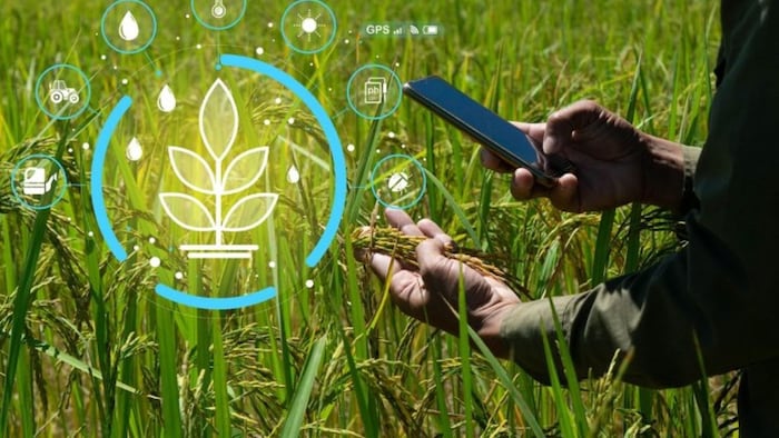 Maharashtra Agri Website