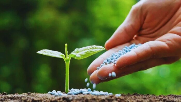 Bill for Fake Seed and fertilizers