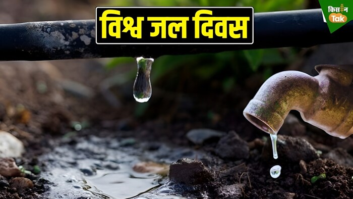 थाली की जद्दोजहद में घट रहा पानी