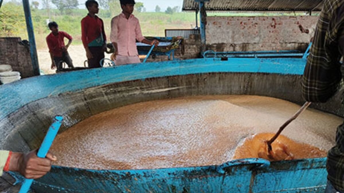 Muzaffarnagar GI Tagged Jaggery