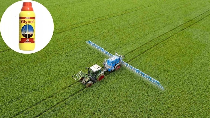 complete ban on the use of glyphosate