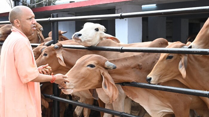 उत्तर प्रदेश के मुख्यमंत्री योगी आदित्यनाथ