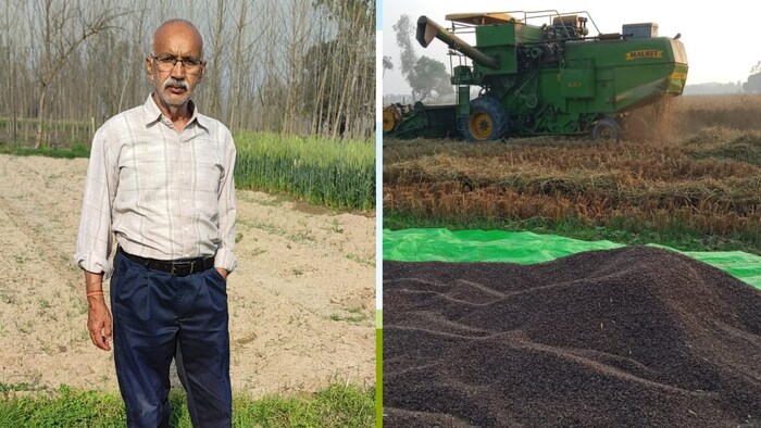 सहारनपुर में काले गेहूं और चावल की खेती करने वाले गांव मेहरबानी के प्रगतिशील किसान आदित्य त्यागी (Photo-Kisan Tak)