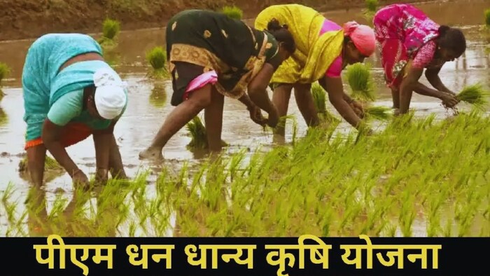 किसानों की कमाई बढ़ाएगी PMDDY स्कीम