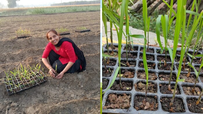 अमरोहा जिले की रहने वाली महिला किसान हितेश चौधरी (Photo-Kisan Tak)