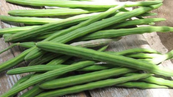 गुजरात के किसान प्रवीण सहजन की खेती से सालाना कमा रहे 20 लाख रुपये कमा रहे हैं.