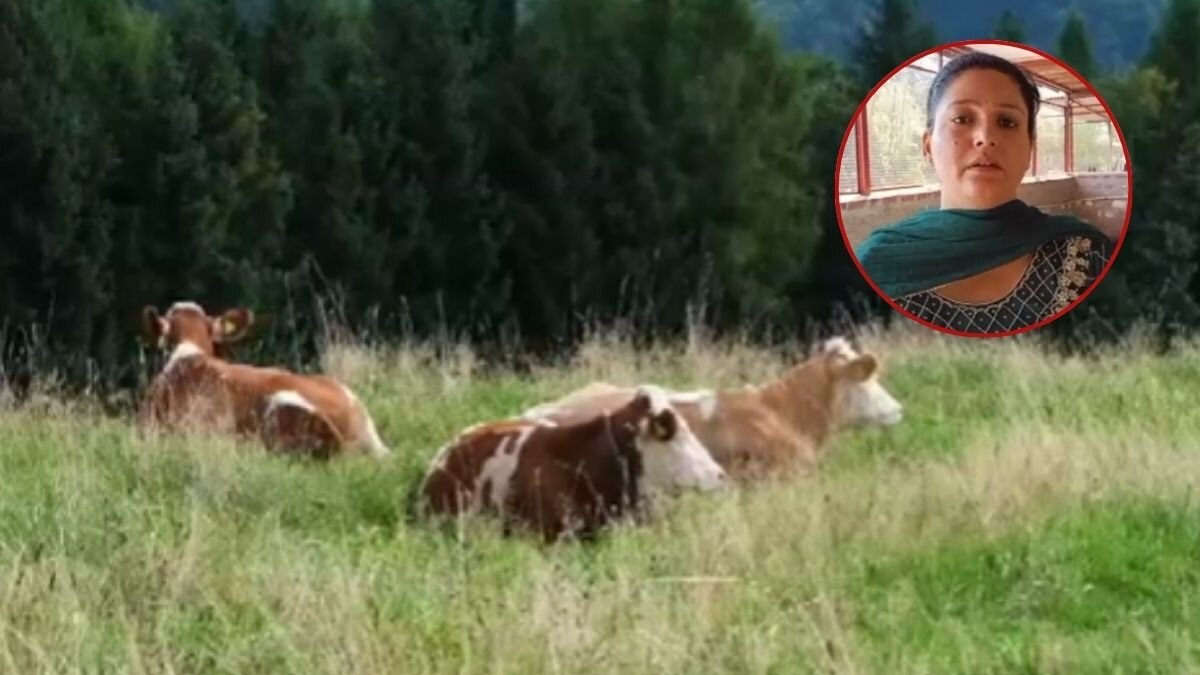 Dairy Farming Success Story