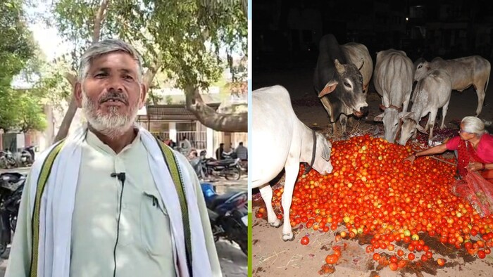हमीरपुर के सदर सब्जी बाजार में कुरारा थाना क्षेत्र के कुसमरा गांव निवासी किसान राजकुमार