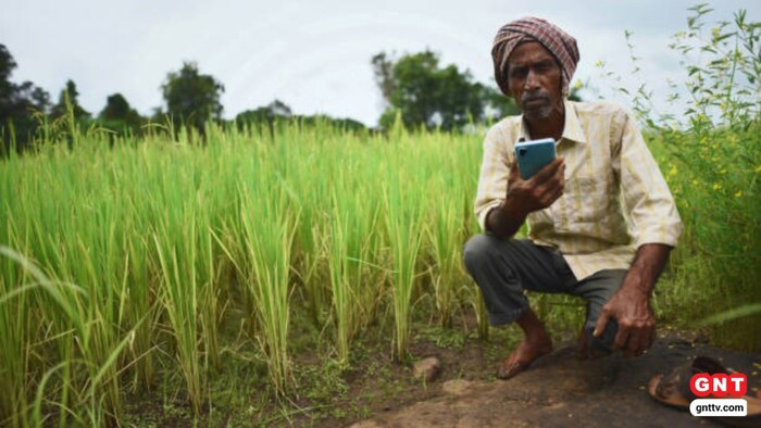 Crop Survey Location Problem Bihar (Photo Credit: Getty)