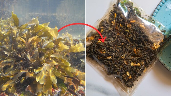 Sustainable Packaging