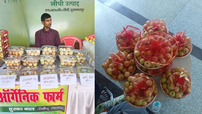 बेर की खेती