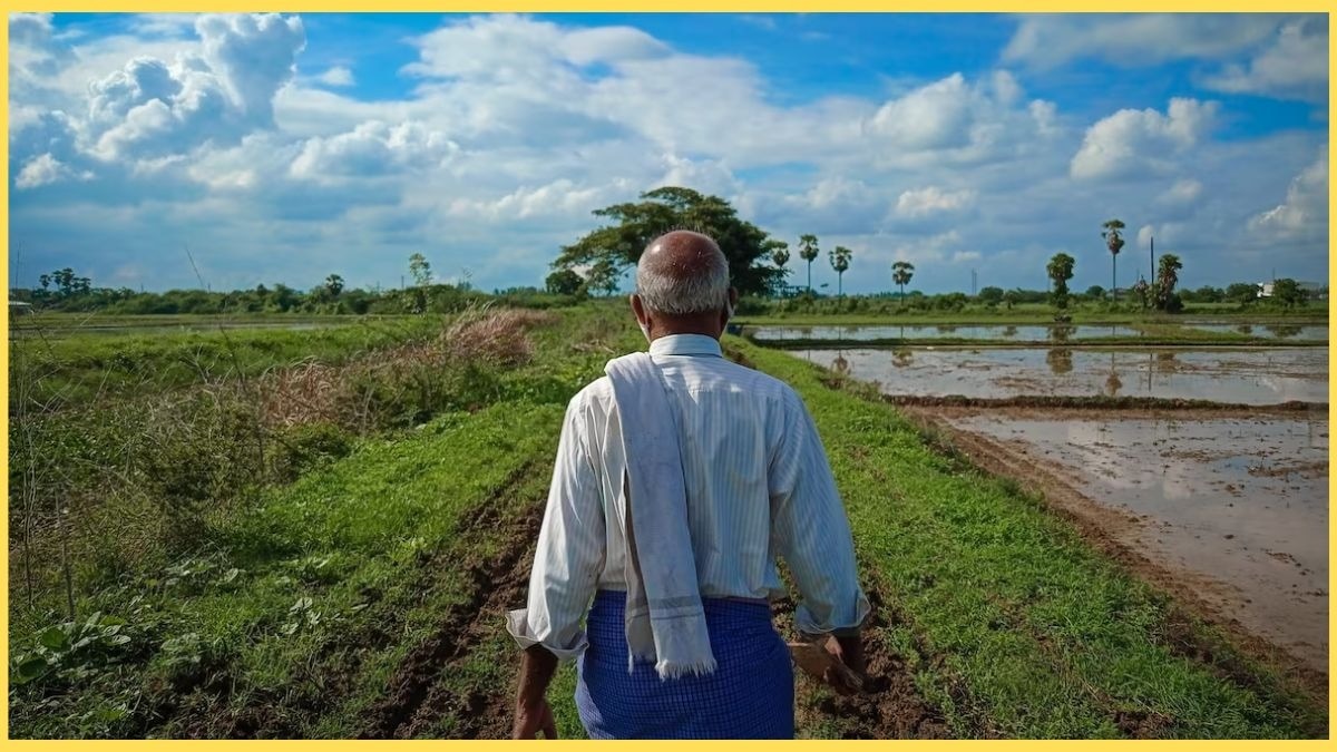 Rain and hailstorm alert for farmers