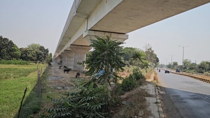 Bullet train changed the fate of the villagers