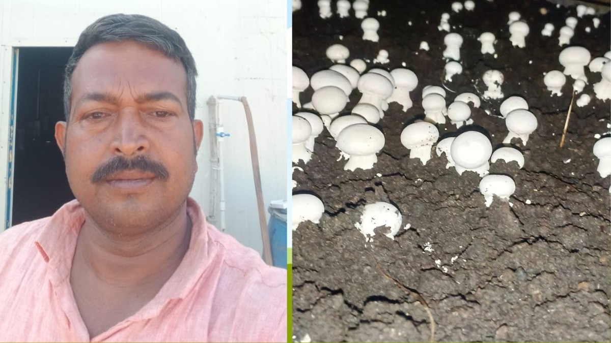 बाराबंकी जिले के रामसनेही घाट तहसील के रहने वाले किसान दिलीप वर्मा