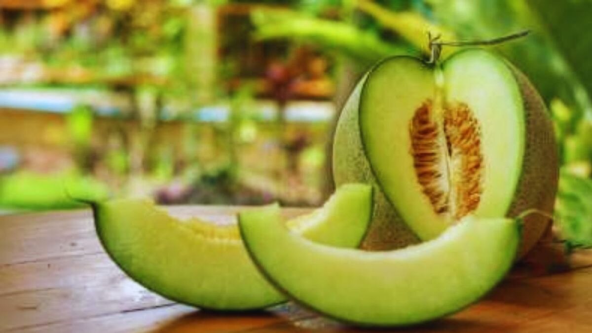 खरबूजा खरीदने की टिप्स