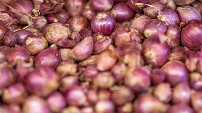 नासिक मंडी में बढ़ी हलचल