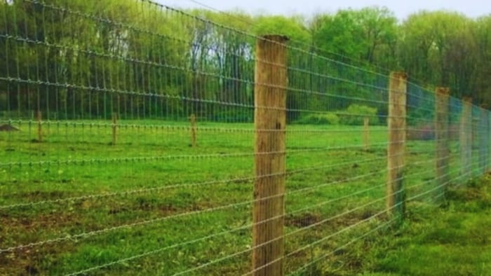 तारबंदी योजना