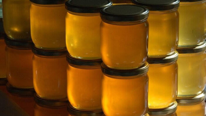 ट्रंप के टैरिफ से चिंता में हैं भारत के शहद निर्यातक