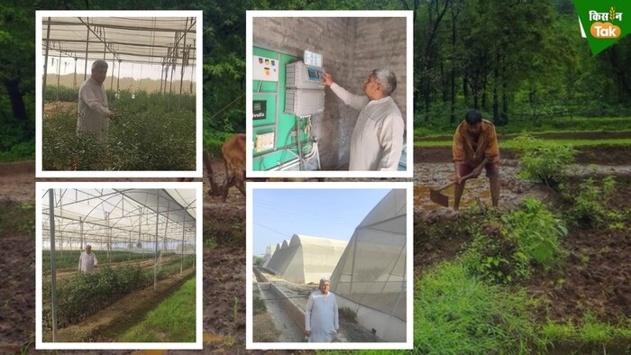 नर्सरी बिजनेस ने किसान हरीश चन्द्र की बदली जिंदगी