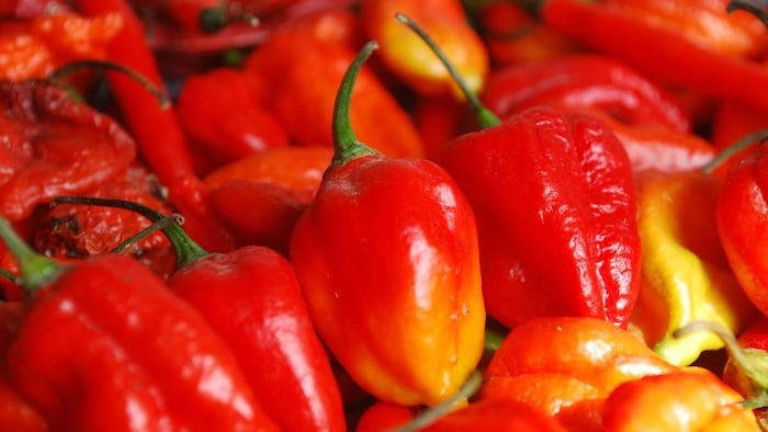 इस मिर्च की खेती करीब 80 साल पहले एक गांव में शुरू हुई थी