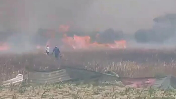 Fire in Wheat crop