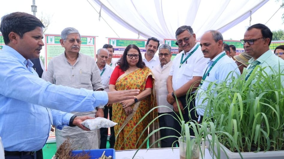 Green Fodder: हरे चारे की कमी दूर करने का केन्द्रीय मंत्री ने बताया ये तरीका, केरल में होगी बड़ी बैठक Green Fodder: हरे चारे की कमी दूर करने का केन्द्रीय मंत्री ने बताया ये तरीका, केरल में होगी बड़ी बैठक