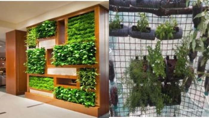 वर्टिकल फ़ार्मिंग