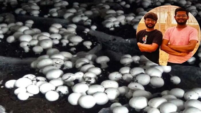 Success Story of Rishabh and Ayush Gupta