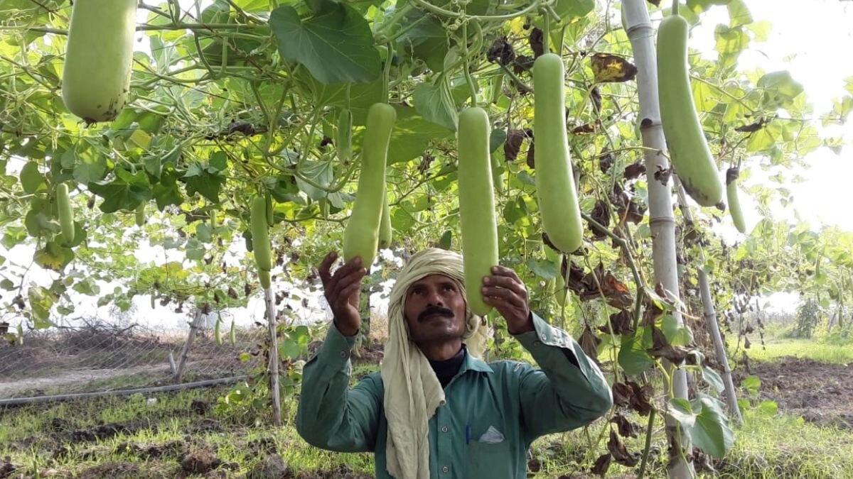 Bihar Farmer Dileep Singh