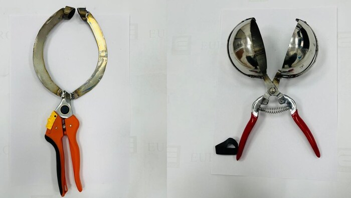 Dragon Fruit Plucker Tool