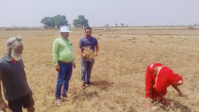 धान-परती प्रबंधन