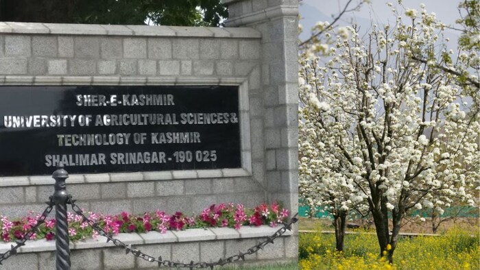 कश्मीर में खेती की दिशा और दशा बदलता SKUAST-K