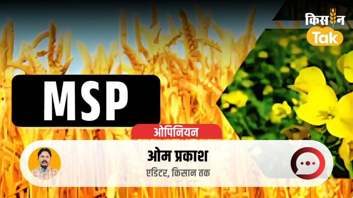 एमएसपी पर कितना पैसा खर्च करती है सरकार?