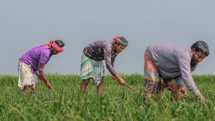 राजस्थान ने फार्मर रजिस्ट्री में बनाया नया रिकॉर्ड