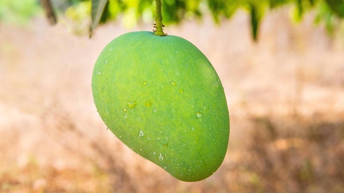 प्रतीकात्मक तस्वीर