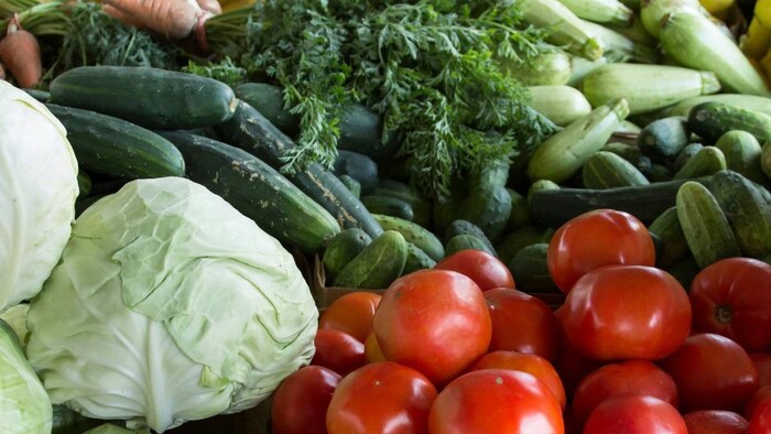 हरियाणा में महंगी हुईं सब्जियां