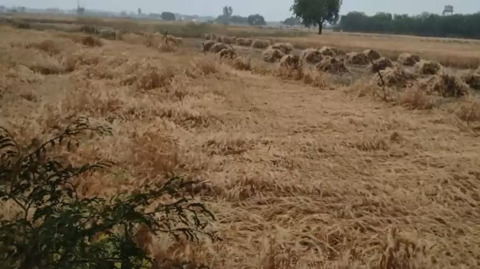 यूपी में बारिश, ओलावृष्टि और तूफान से फसलें बर्बाद, योगी आदित्यनाथ ने राहत कार्य तेज करने के दिए निर्देश यूपी में बारिश, ओलावृष्टि और तूफान से फसलें बर्बाद, योगी आदित्यनाथ ने राहत कार्य तेज करने के दिए निर्देश