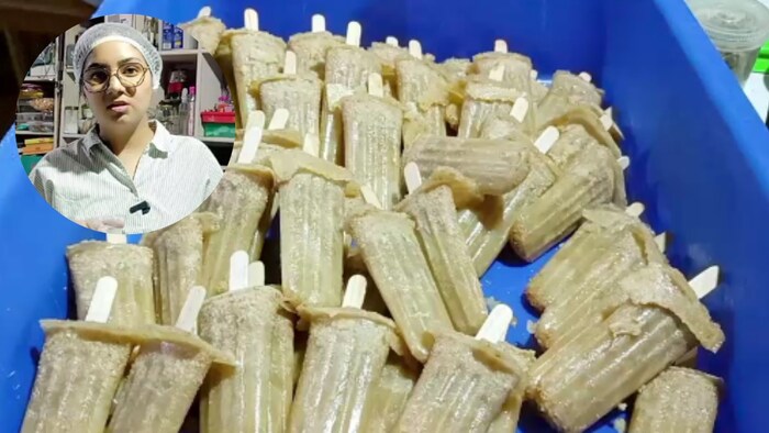 Sugarcane Kulfi Business