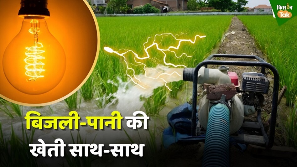 UP: बुंदेलखंड में एक साथ हो रही पानी के साथ ‘बिजली की खेती’, जानिए कैसे हुआ चमत्कार UP: बुंदेलखंड में एक साथ हो रही पानी के साथ ‘बिजली की खेती’, जानिए कैसे हुआ चमत्कार