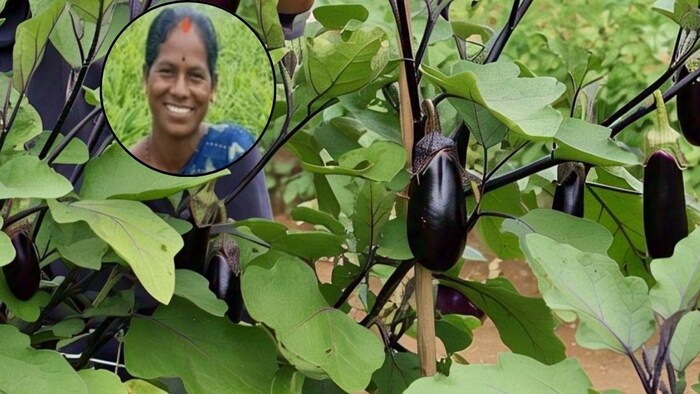 Farmer Success Story