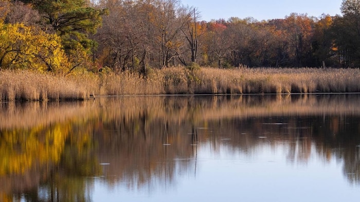 सांकेतिक तस्वीर
