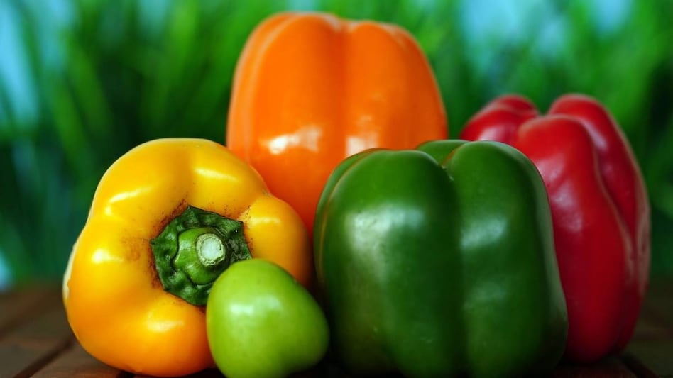 अप्रैल-मई में करें शिमला मिर्च की इस किस्म की खेती, होगा बंपर फायदा   अप्रैल-मई में करें शिमला मिर्च की इस किस्म की खेती, होगा बंपर फायदा