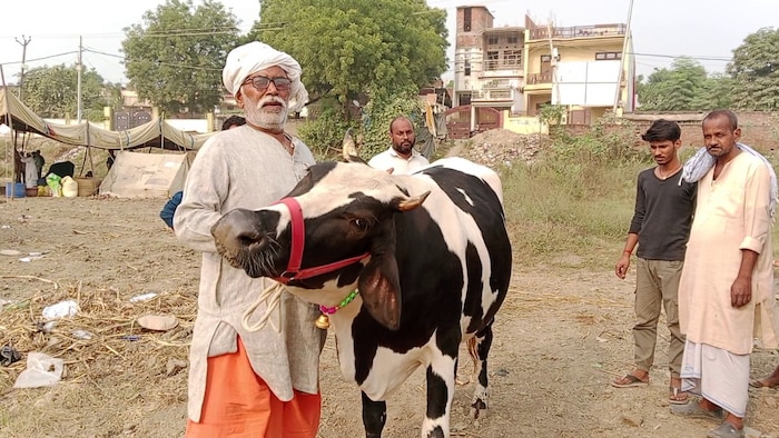 यूपी में पशुपालकों को डेयरी स्थापना के लिए 50% अनुदान