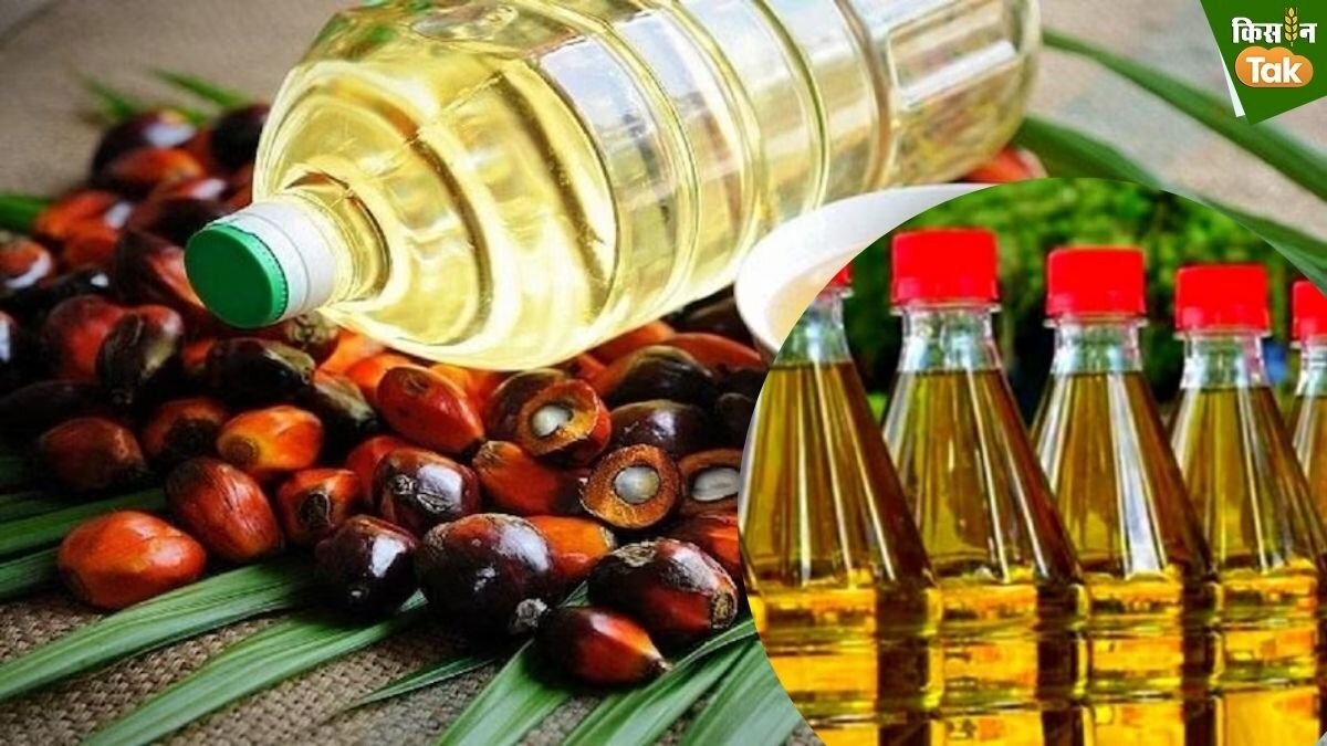 Cooking oil imports from Nepal surge