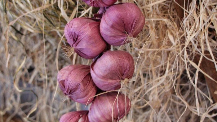 महाराष्ट्र के संगठन ने सरकार से की एक और मांग