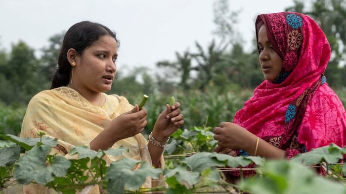 प्राकृतिक खेती पूरी तरह से रसायन मुक्त होती है.